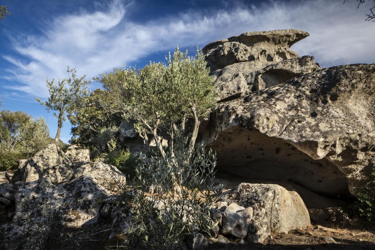 Gallicantu Stazzo Retreat Luogosanto Bagian luar foto