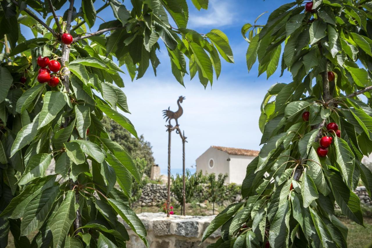 Gallicantu Stazzo Retreat Luogosanto Bagian luar foto
